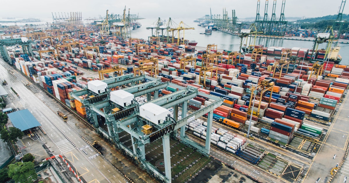 Container port with stacked shipping containers and gantry cranes — logistics software development